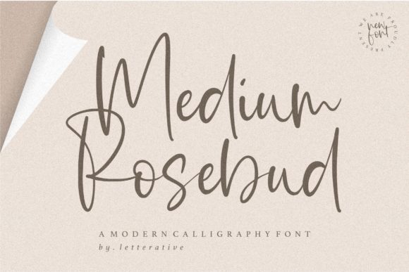 Medium Rosebud: A Handwritten Font for Business Branding