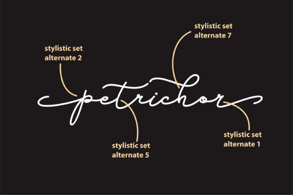Review of the Petrichor Handwritten Font for Brand Design
