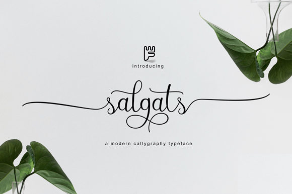 Salgats: Elevating Digital Brand Identity with Elegant Script Typography