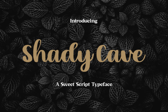 Shady Cave Typeface: Elevating Campaign Visuals with Relaxed Handwritten Style